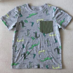 Kids Gray Dinosaur Print T-Shirt with Green Pocket